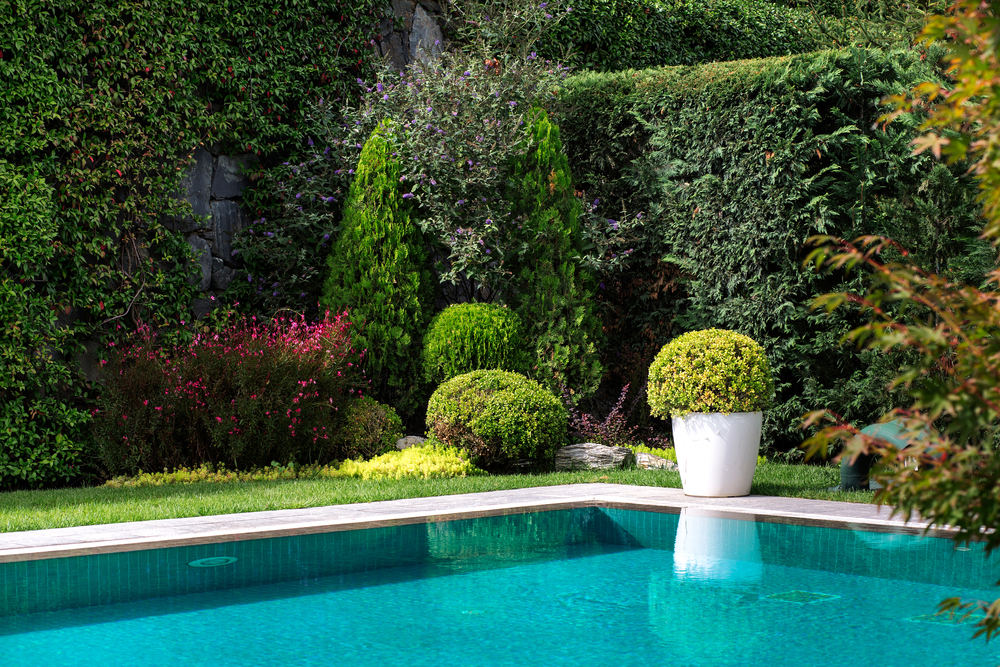 water-saving landscaping ideas